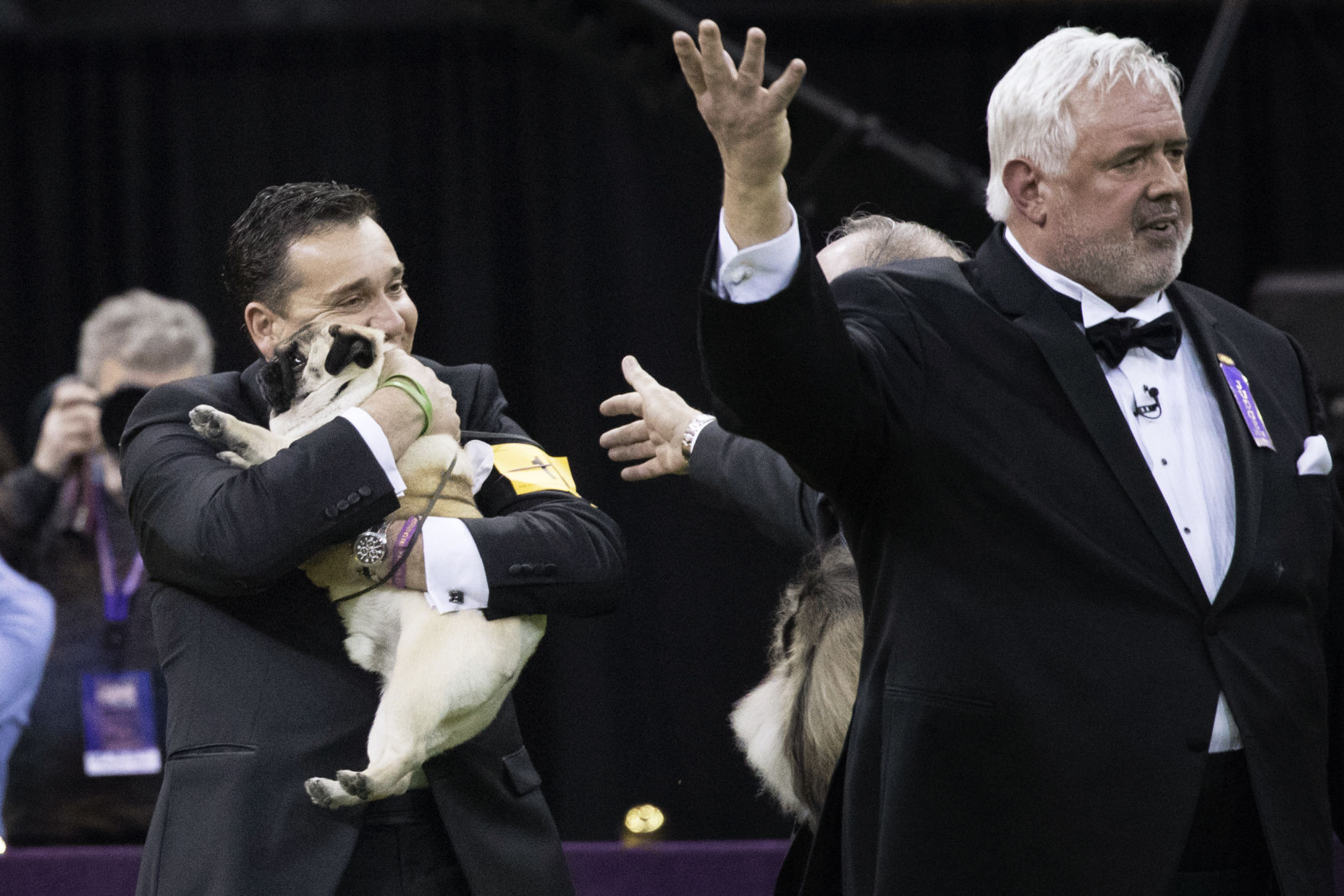 Westminster Dog Show
